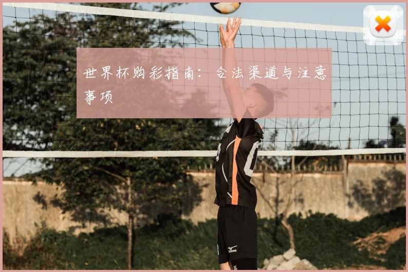 世界杯购彩指南:合法渠道与注意事项